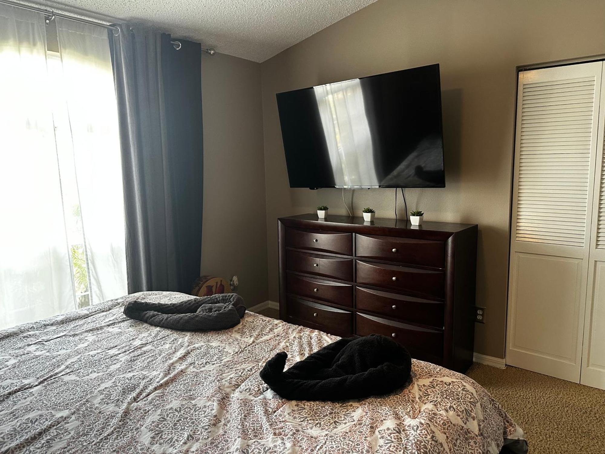 Cozy 3 Bedroom Home Close To Everything In Tampa! ภายนอก รูปภาพ